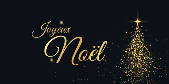 LA FFYB vous souhaite un joyeux noël ! - Fédération Francophone du